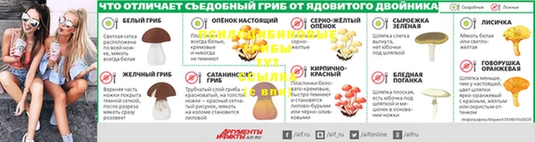 молекула духа Магадан