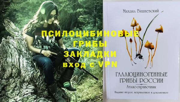 PSILOCYBIN Пересвет